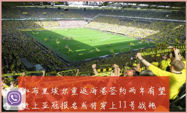 加布里埃尔重返海港签约两年有望赶上亚冠报名或将穿上11号战袍